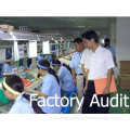 chinese clothing companies audit and inspection